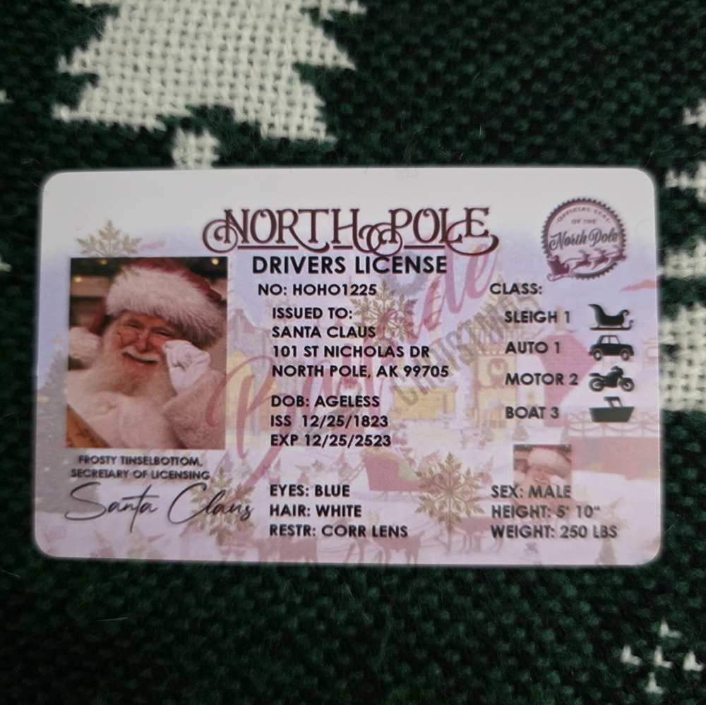 Elf on the Shelf Light Pink Girl + Santa's Driver's License - Picture 5 of 6